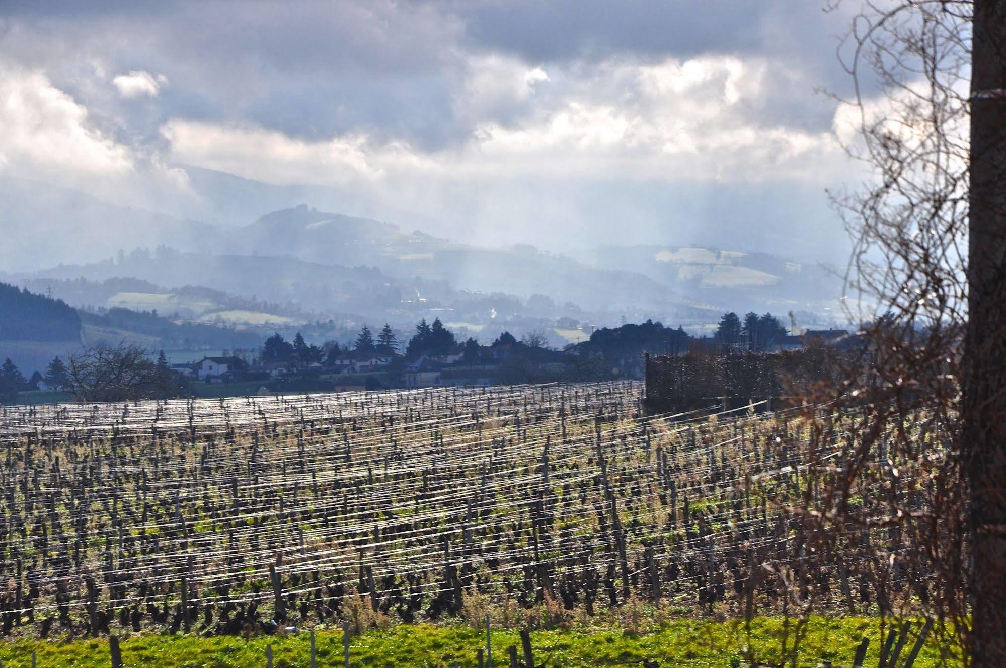 Le Clos Du Cher En Beaujolais Saint-Germain-Nuelles Экстерьер фото