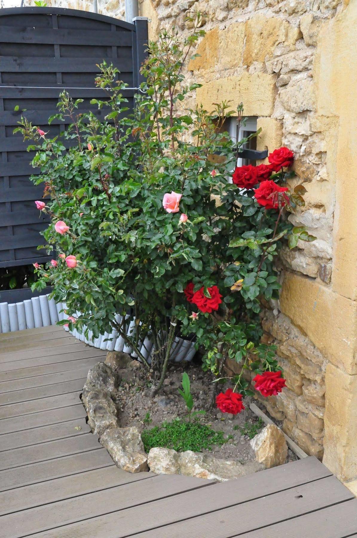 Le Clos Du Cher En Beaujolais Saint-Germain-Nuelles Экстерьер фото