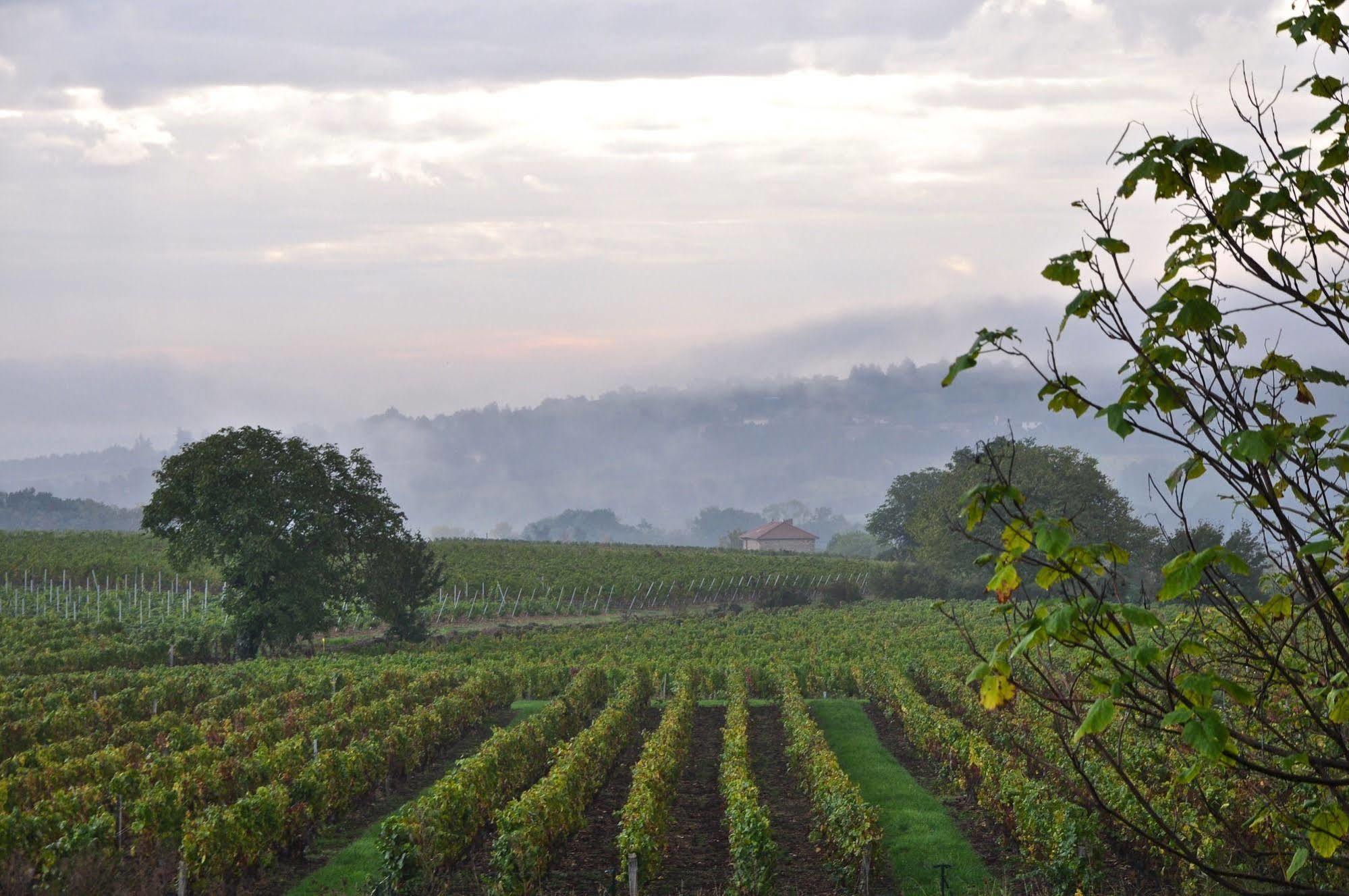 Le Clos Du Cher En Beaujolais Saint-Germain-Nuelles Экстерьер фото