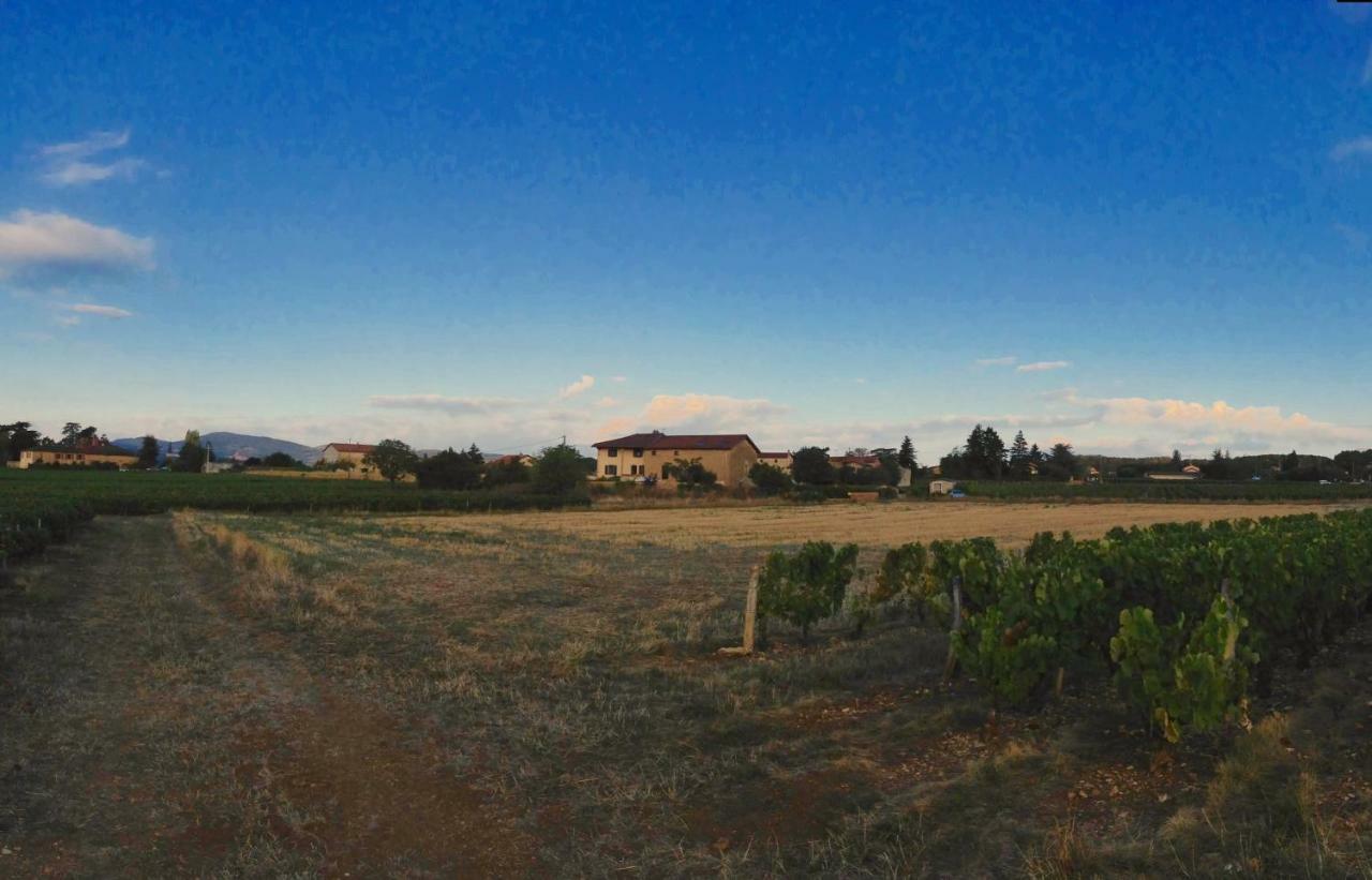 Le Clos Du Cher En Beaujolais Saint-Germain-Nuelles Экстерьер фото