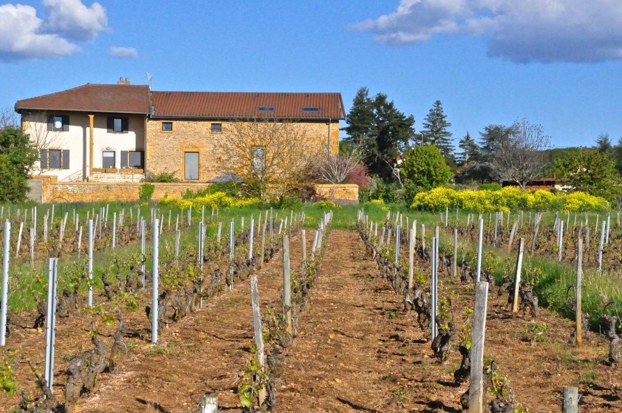 Le Clos Du Cher En Beaujolais Saint-Germain-Nuelles Экстерьер фото